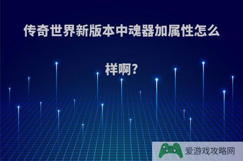 传奇世界新版本中魂器加属性怎么样啊?