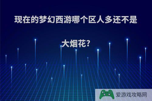 现在的梦幻西游哪个区人多还不是大烟花?